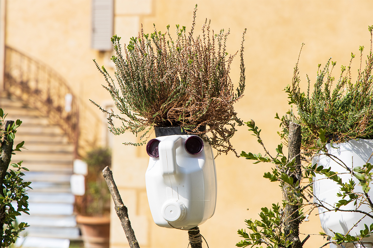 Teste fiorite, “Se invece dei capelli sulla testa ci spuntassero i fiori, sai che festa?”