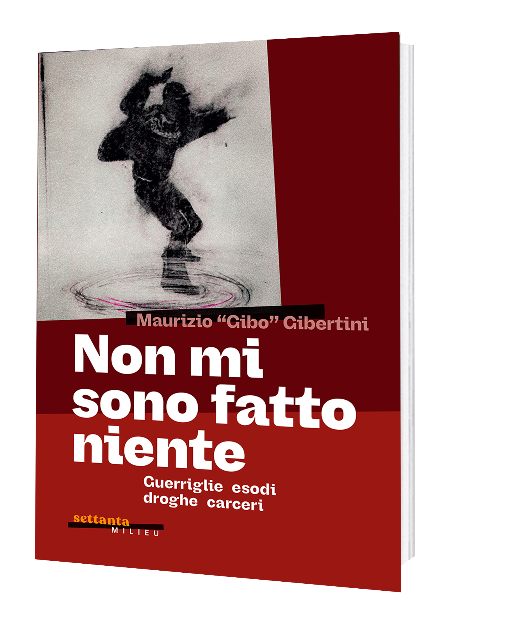 Maurizio Gibertini