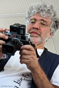 Pino Ninfa