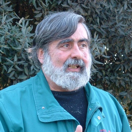 Mario Polia