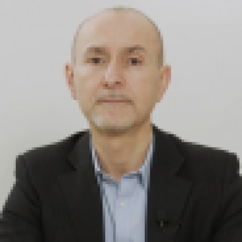 Marco Bertelli