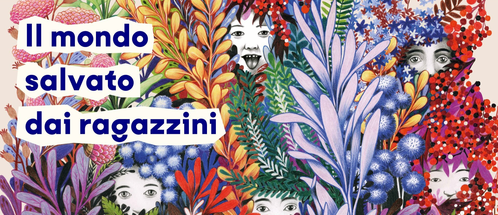 Novita Amadei