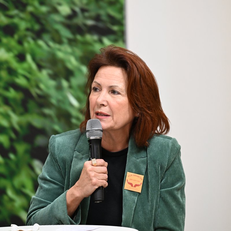 Anne Dumonnet-Leca