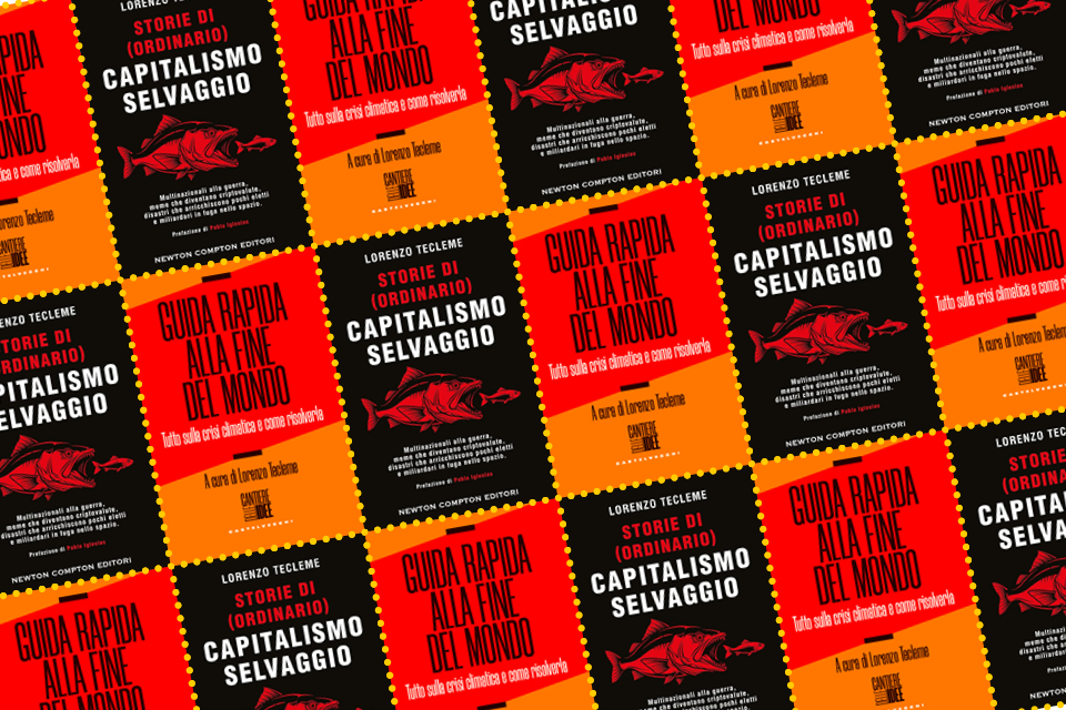(Ordinario) capitalismo selvaggio