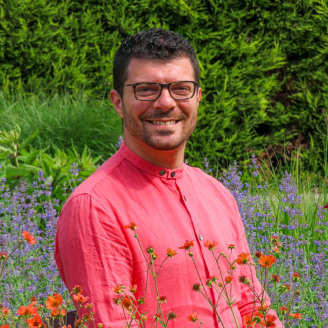 Francesco Fedelfio