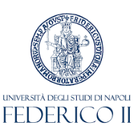 Università Federico II (Napoli)