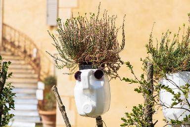 Teste fiorite, “Se invece dei capelli sulla testa ci spuntassero i fiori, sai che festa?”