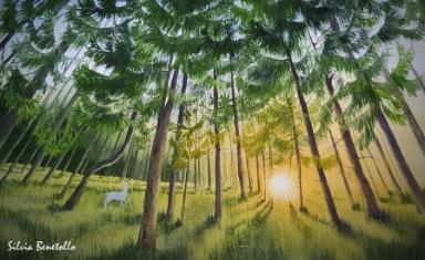 La canzone delle foreste - Un racconto di radici, foglie e scienze del bosco