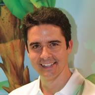 Andrea Marrocco