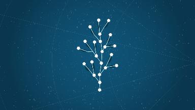 L’intelligenza delle piante