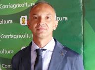 Enrico Allasia