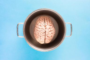 Diana Höbel Le femmine ce l'hanno piccolo, Tragicomico excursus tra le concezioni del cervello femminile dall'Ottocento a oggi