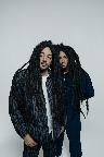Mellow Mood