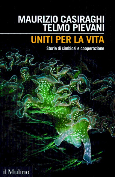 Cooperazione