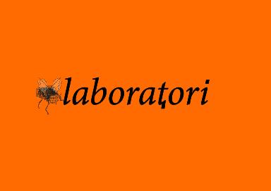 Una scelta alternativa per fare geografia a scuola