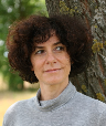Guia Risari