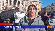 Ambra Drago